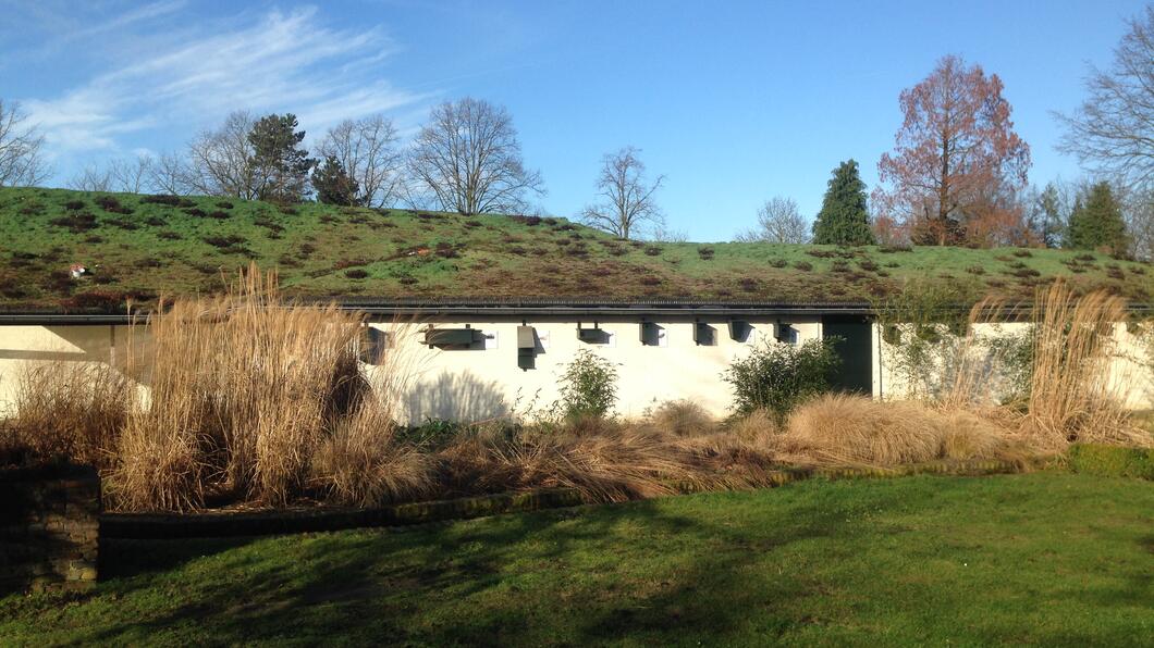 Museum klok en Peel