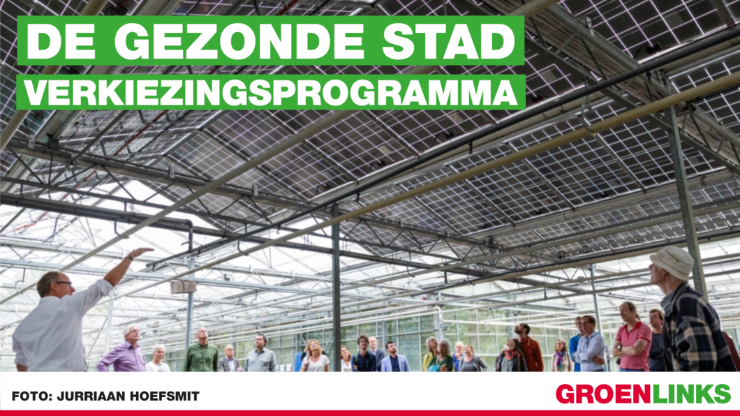 Verikiezingsprogramma