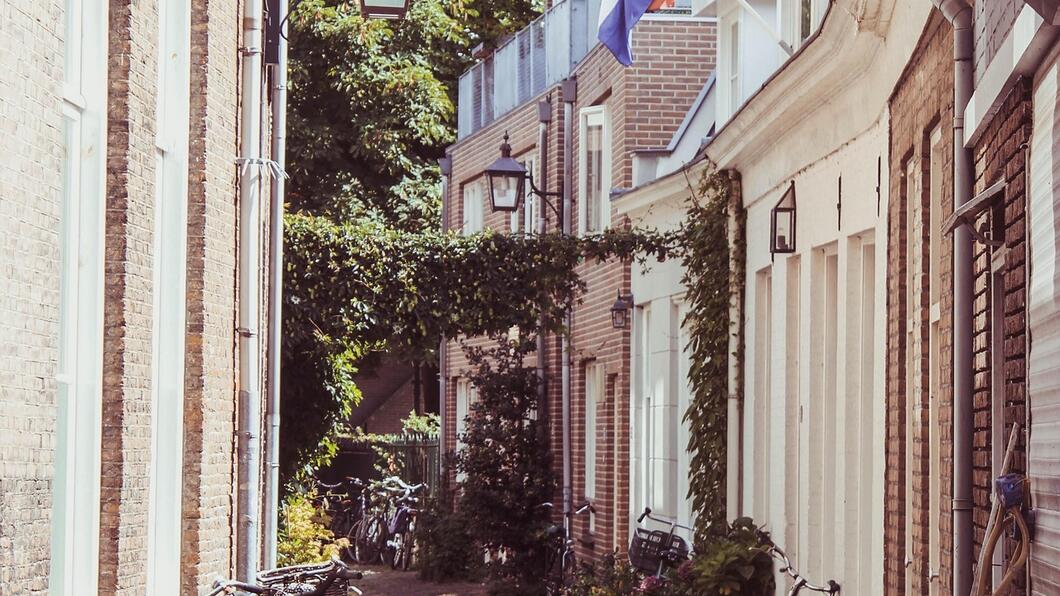 Groen in de stad