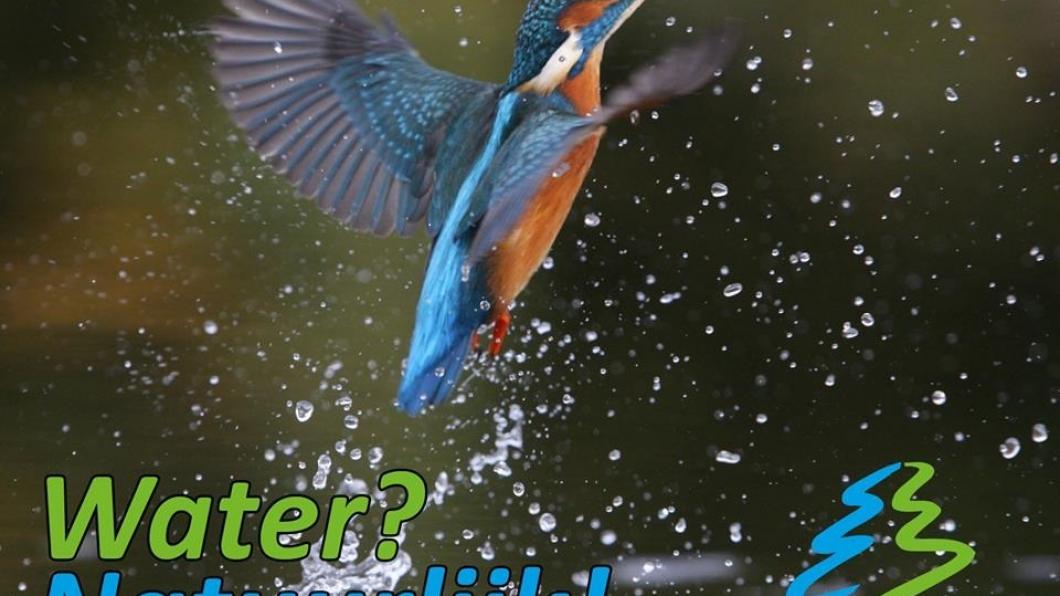 IJsvogel en logo Water Natuurlijk