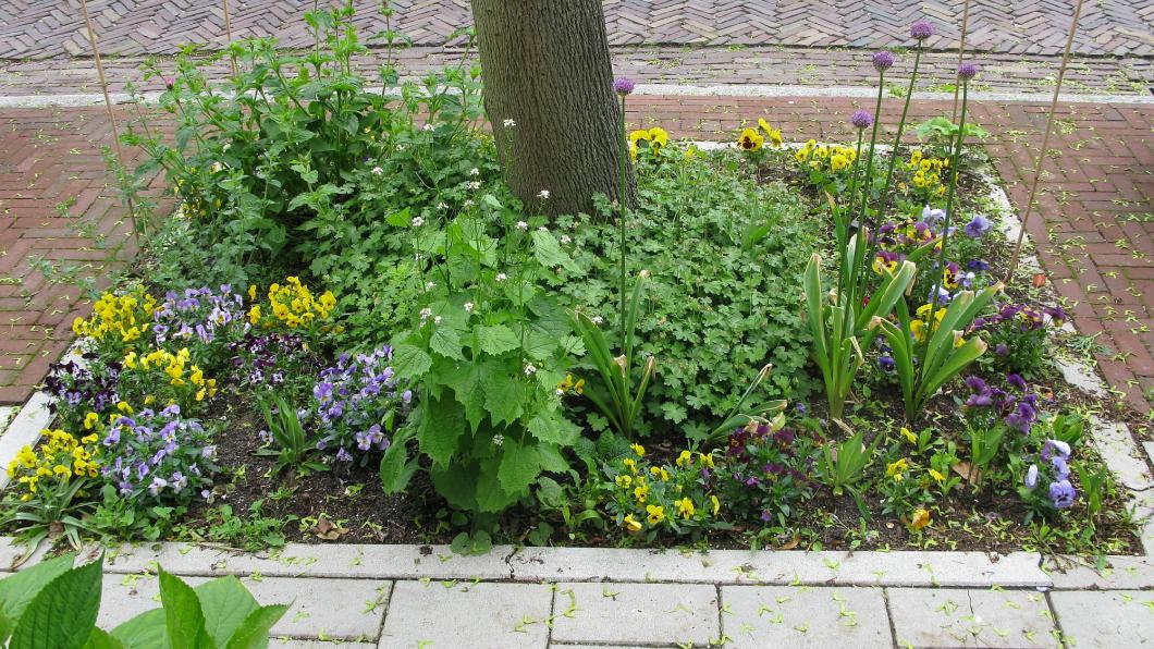 MariettevanWenum_2013-05-26 12.17.49.jpg