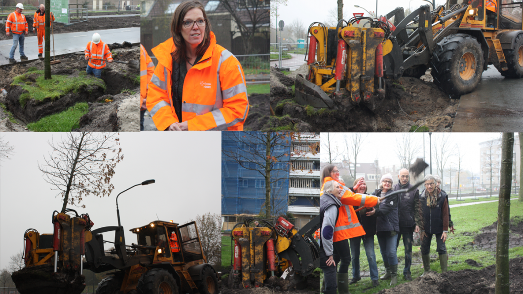 Collage Boom verplaatsing door Wethouder Sikkema collage15 novboomWethouder.png
