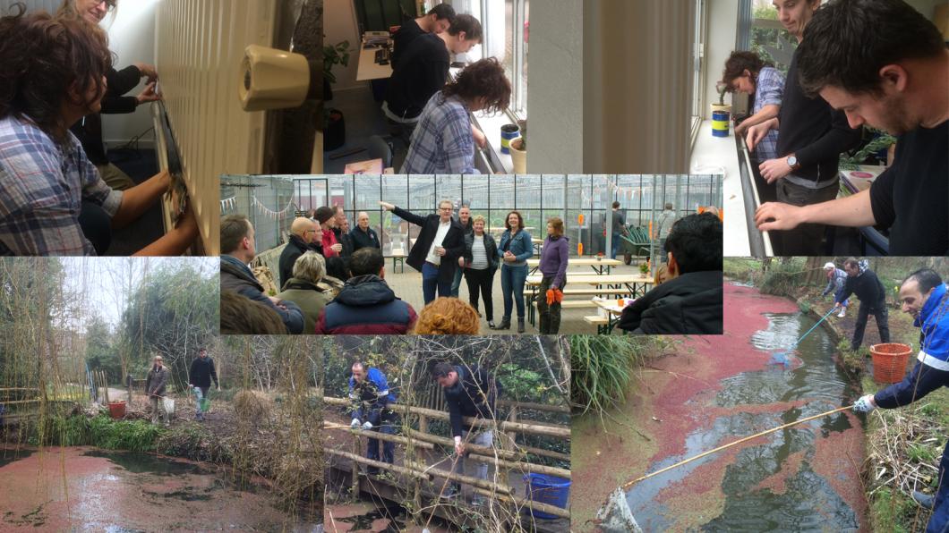 NLdoet 2016 Fractie in actie in de Kweektuin collageNLdoetpluskl.jpg