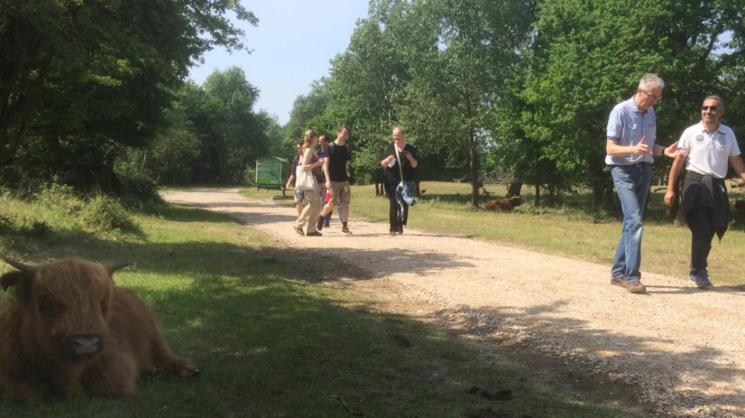 wandelingIMG_5486_bewerkt-1.jpg