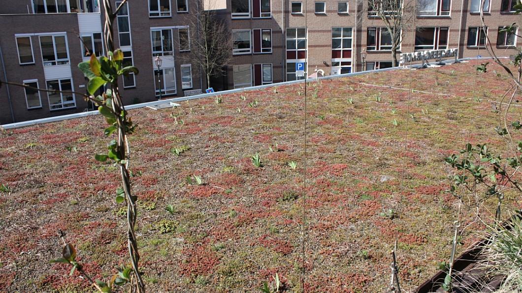 Groen Dak Parkeergarage De Kamp Groen Dak Parkeergarage De Kamp