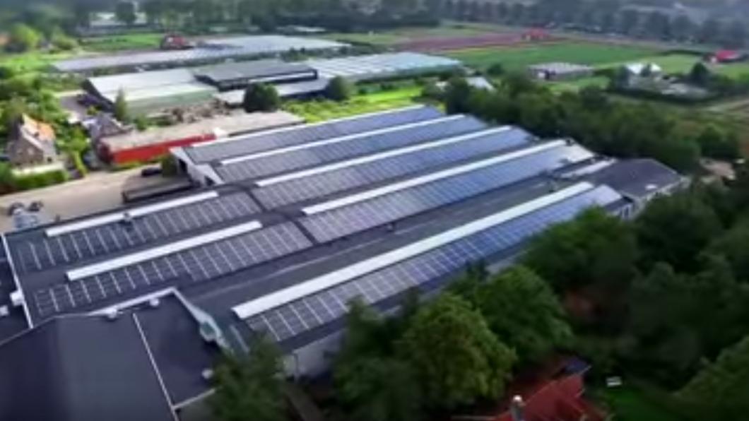 zonnecorporaties.jpg