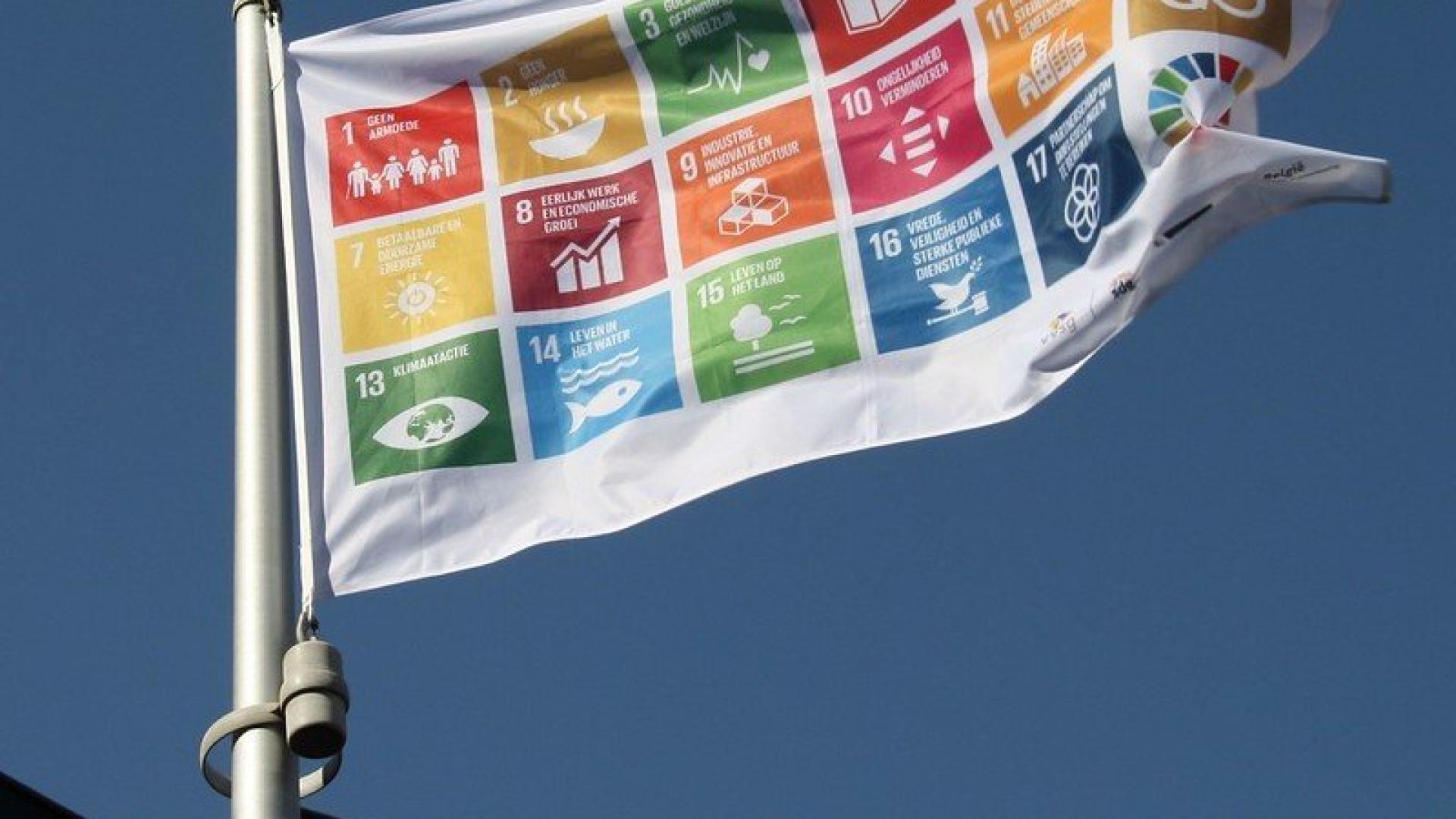 Vlag Gloal Goals