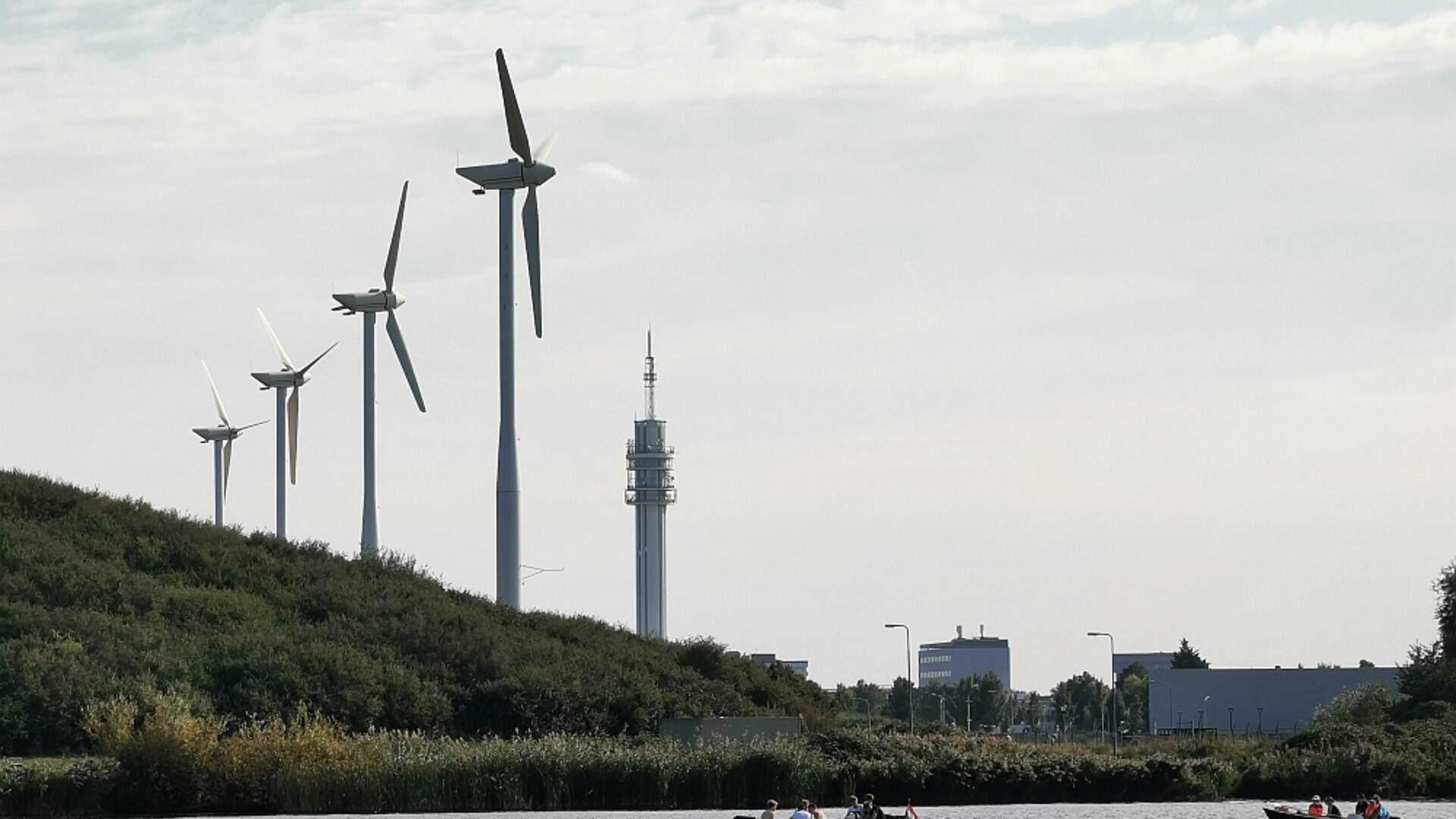Schoteroog