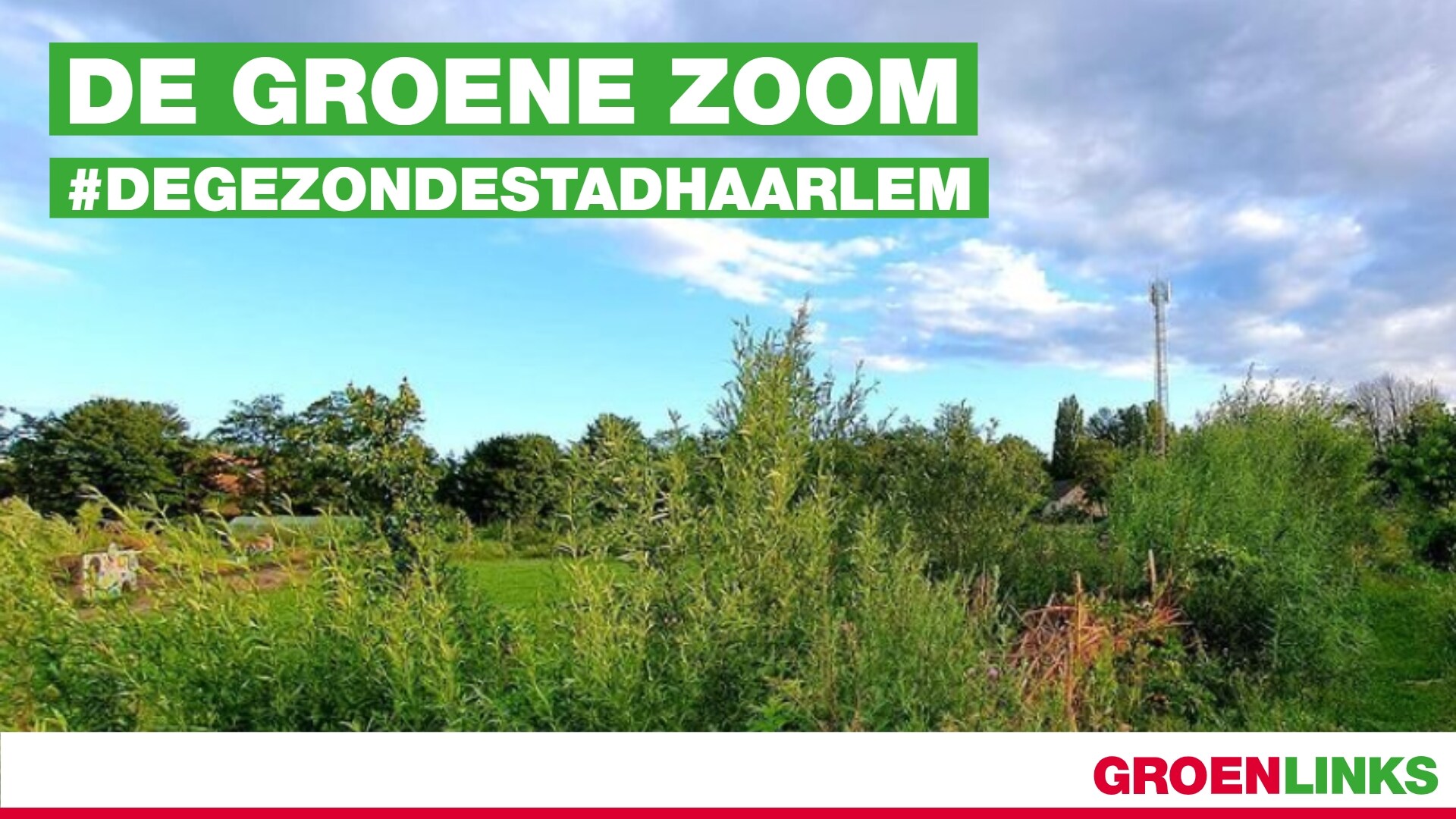 Groen Zoom