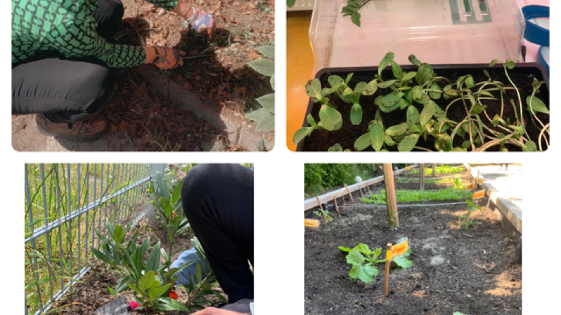 Natuureducatie voorbeelden