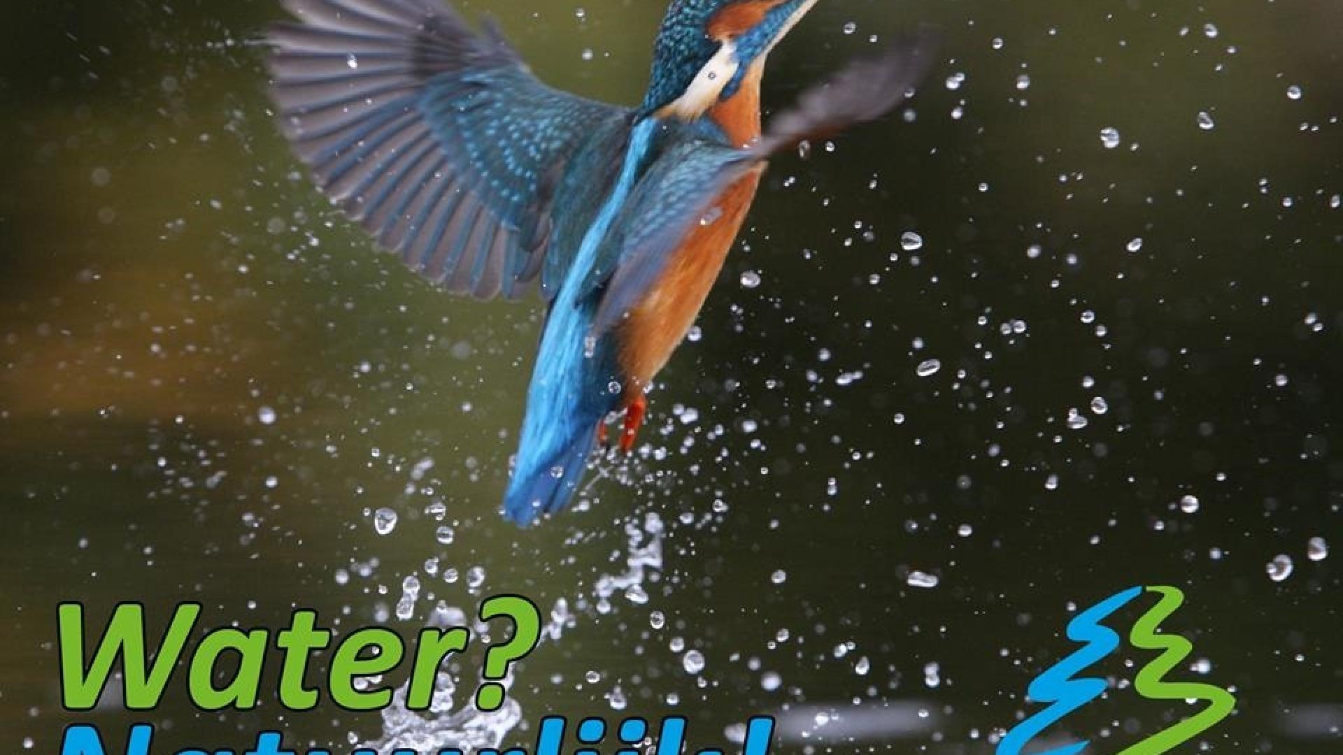 IJsvogel en logo Water Natuurlijk
