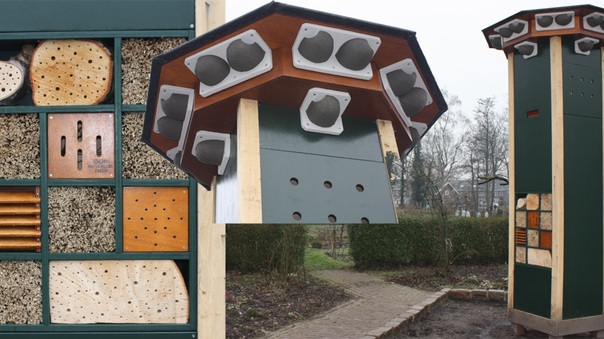 CollageDierenTorenkl.png