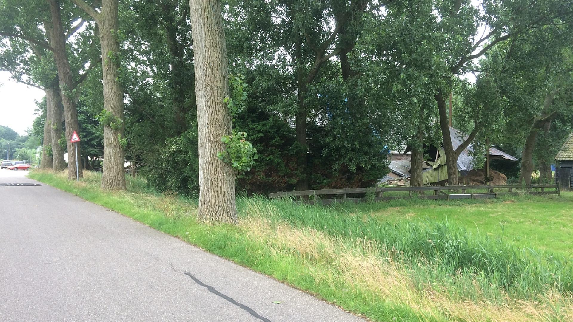 IMG_7640Dmuskl.jpg