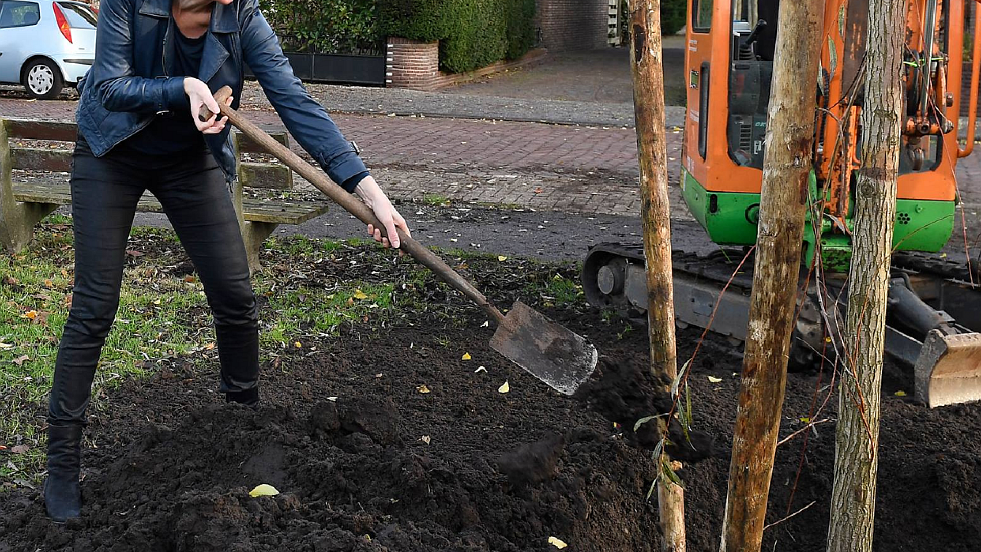 Wethouder_Sikkema_plant_Boom_uitsnede.png