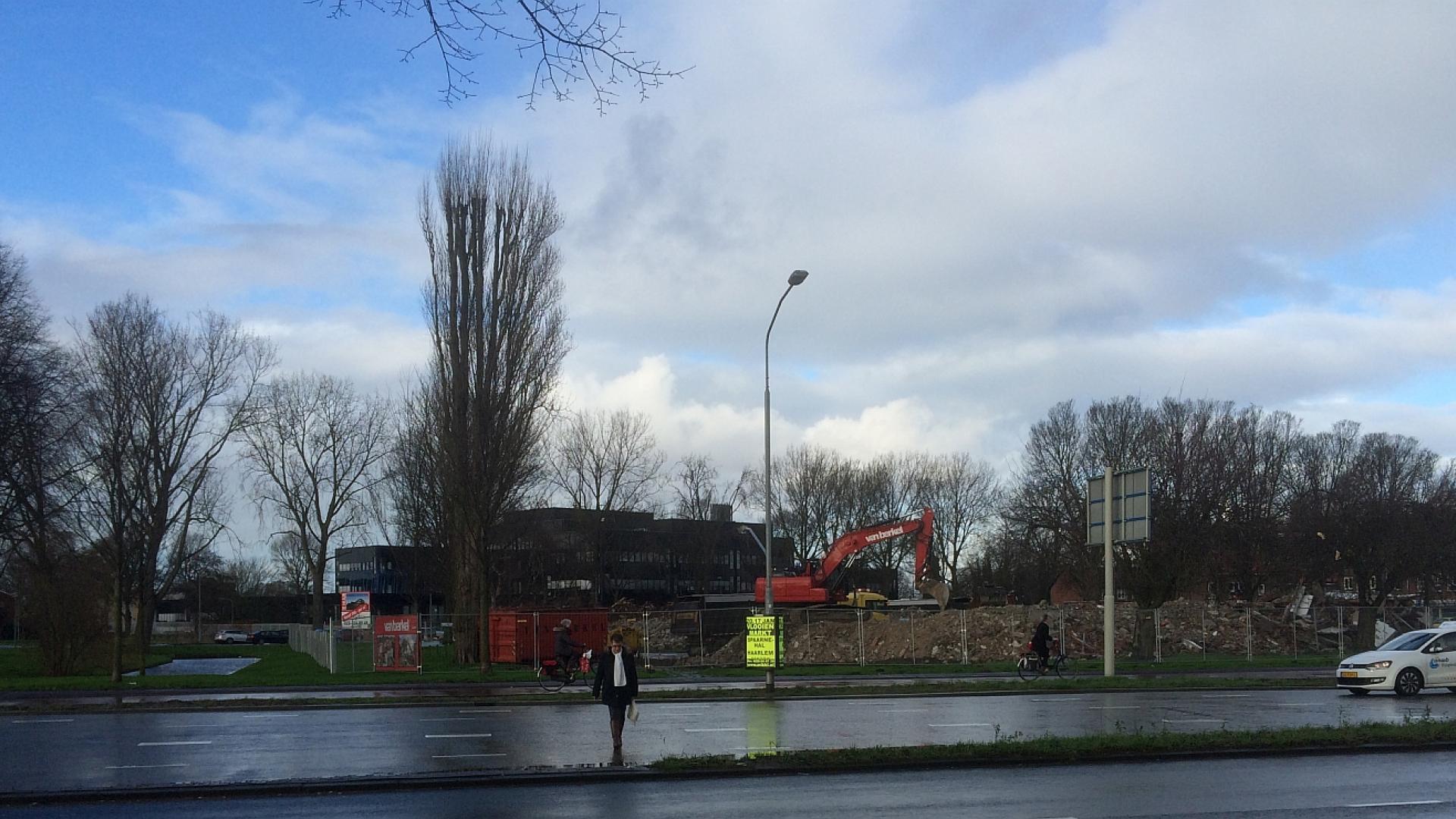 ZuidstrookUitsnklIMG_3338.jpg