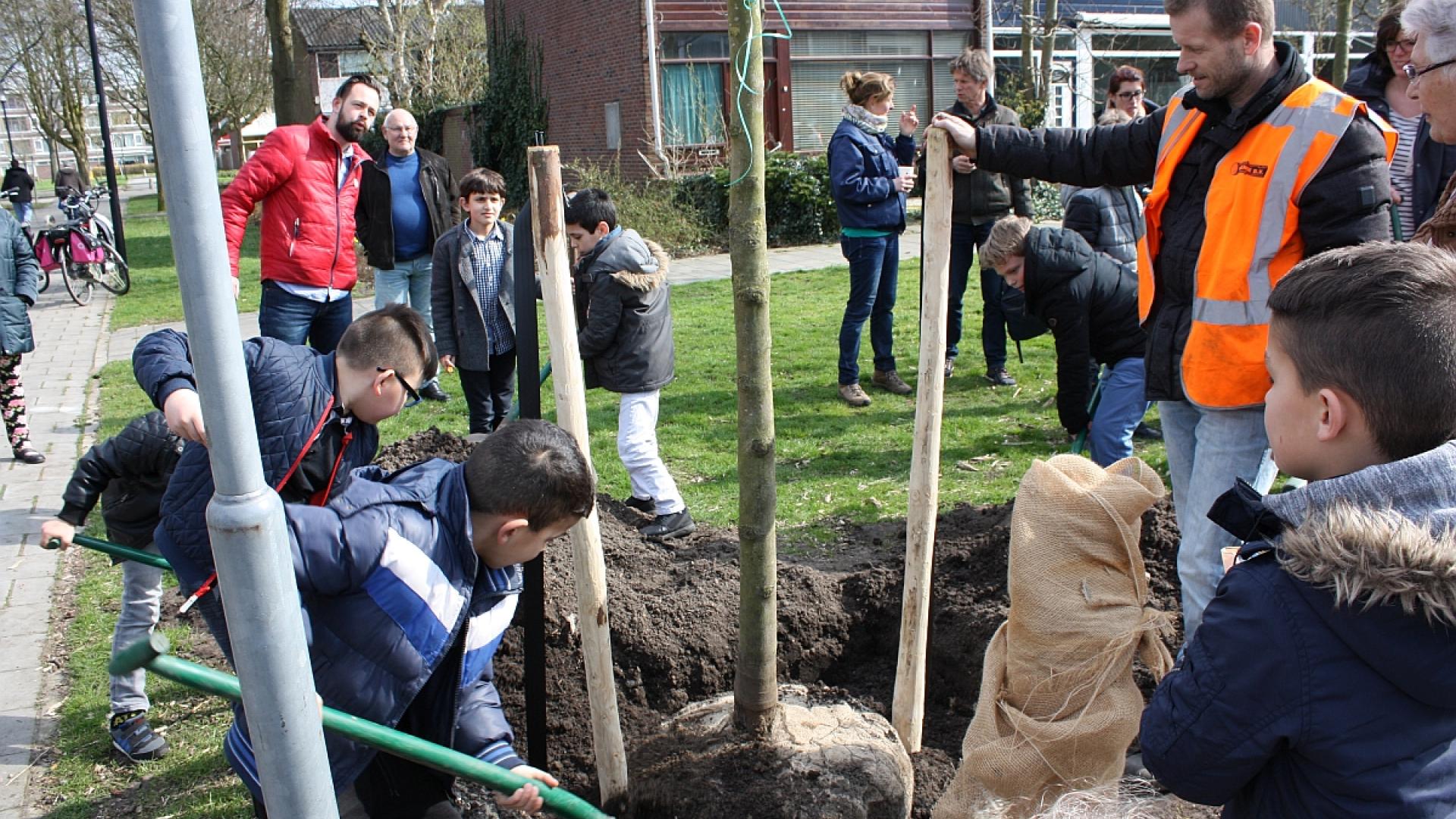 Boomplanten 2017