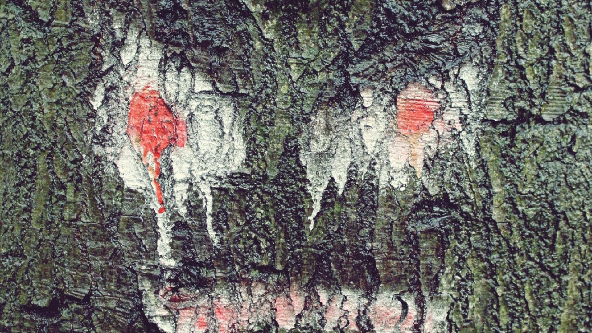 Boomstip-Gezicht