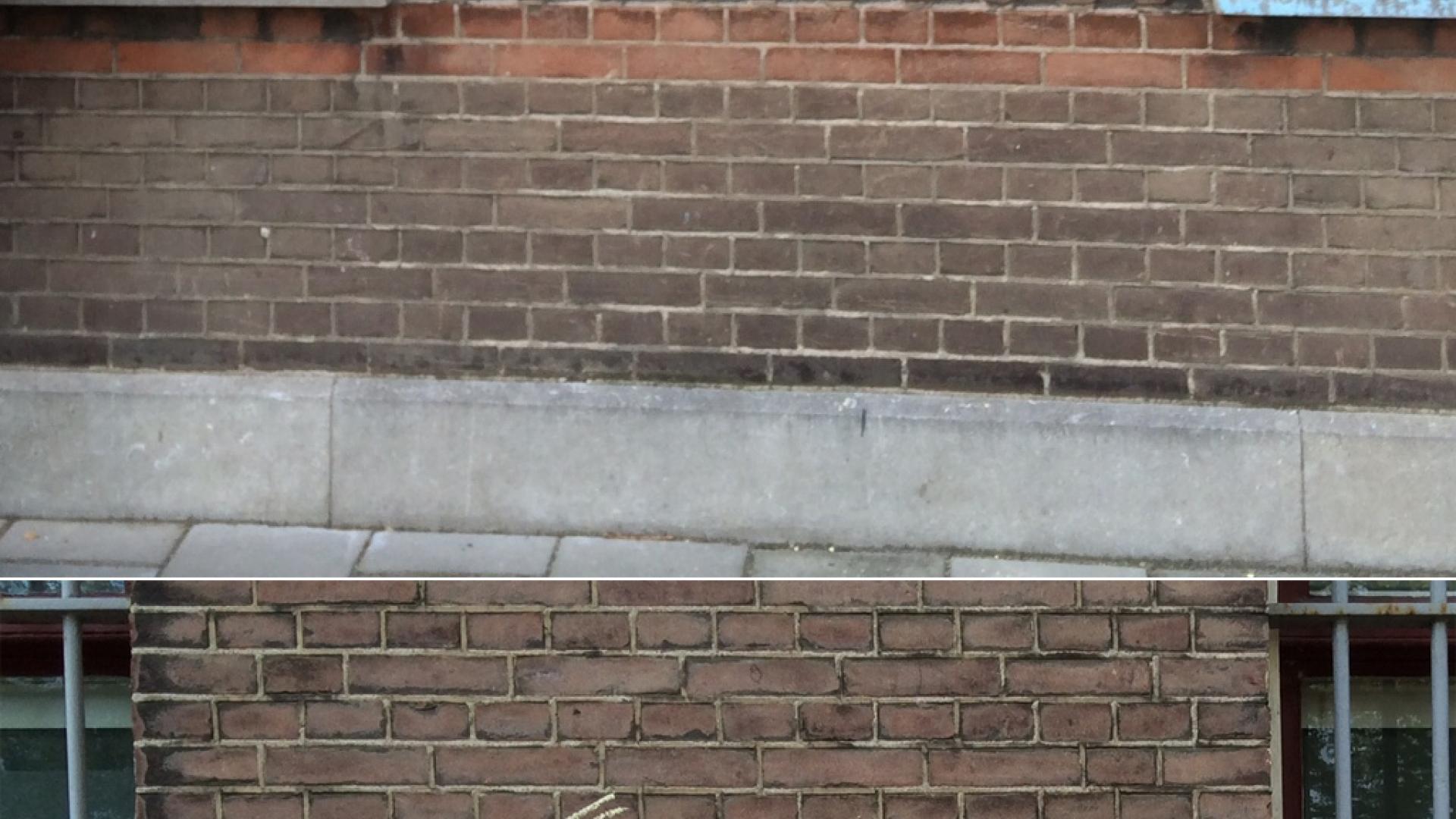 koepelopvangbovenonder.jpg