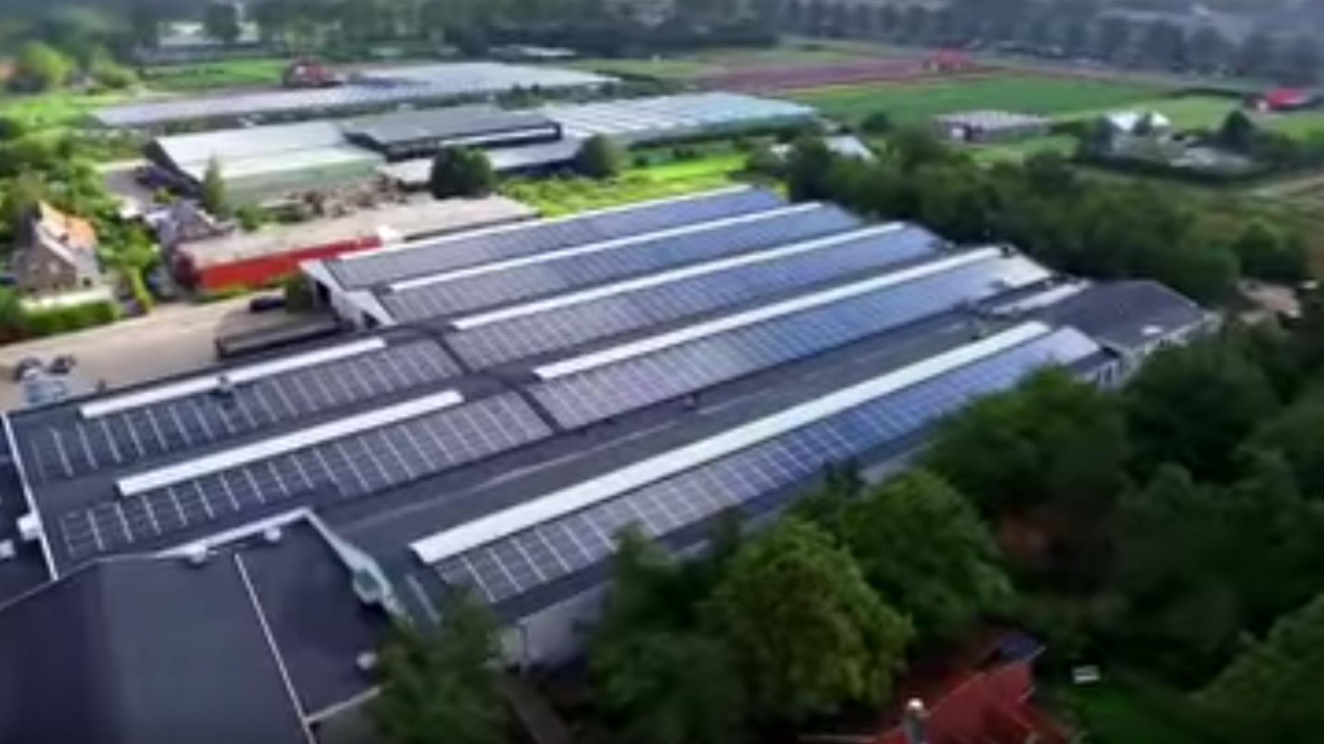 zonnecorporaties.jpg
